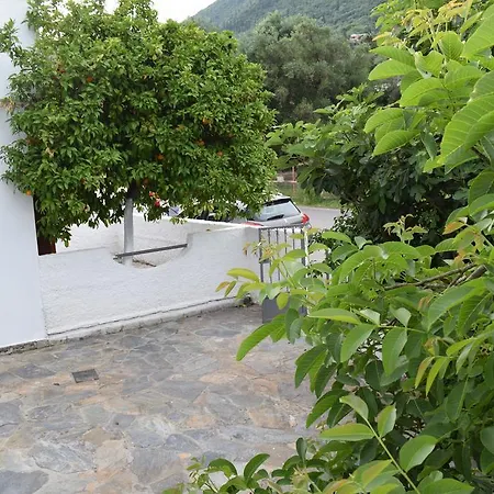 Apartment Gorgona & Ipsos